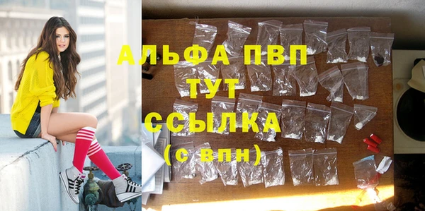 амф Богородицк