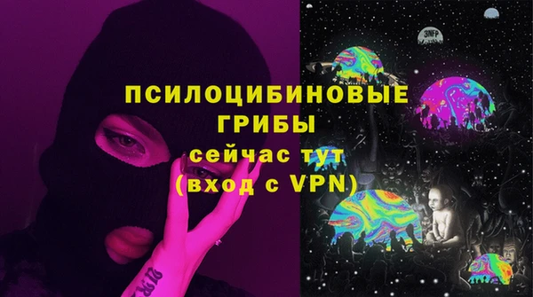 твердый Богданович